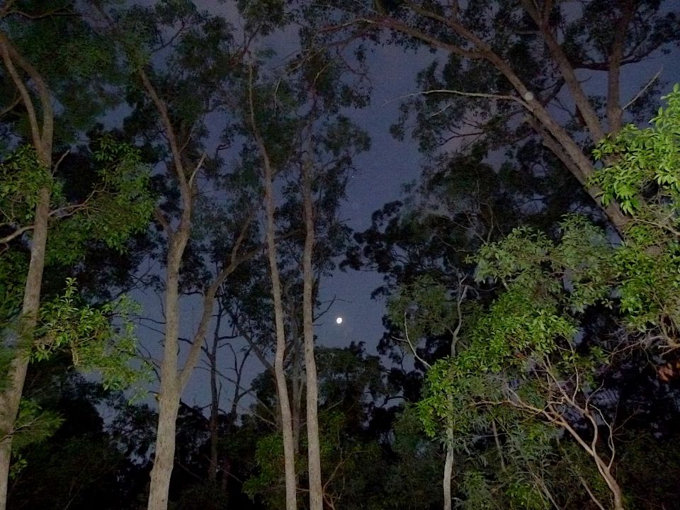 P1160391.jpg